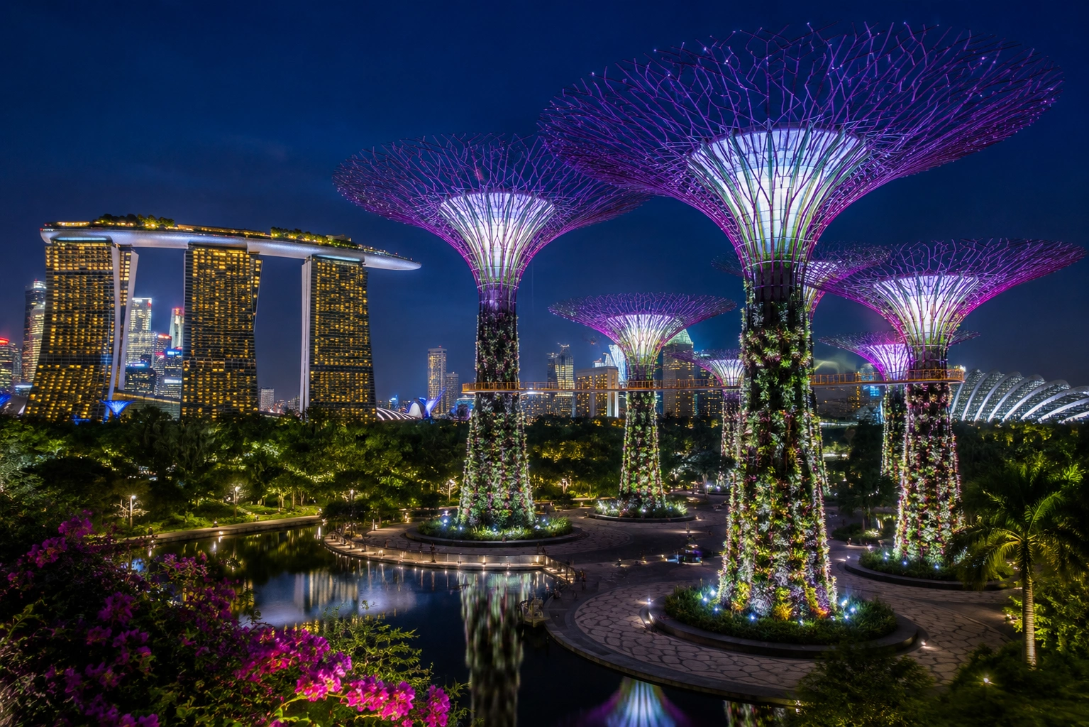 Gardens by the Bay in Singapore at night